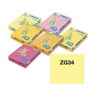 FOT.PAPIR A4 ŽUTI 1/500 IQ