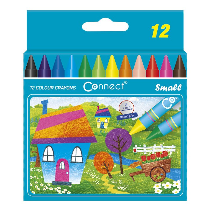 Boje voštane 12boja kartonska kutija Connect