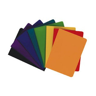 MAPA ULOŽNA A4 100 DŽEPOVA EXACOMPTA